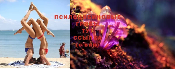 эйфоретик Вязьма