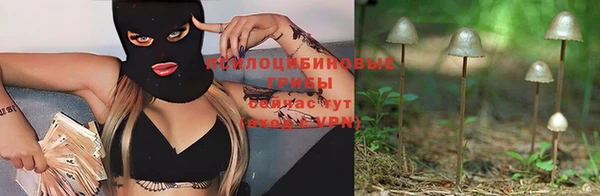 МДМА Новозыбков