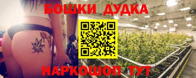 индика Абинск