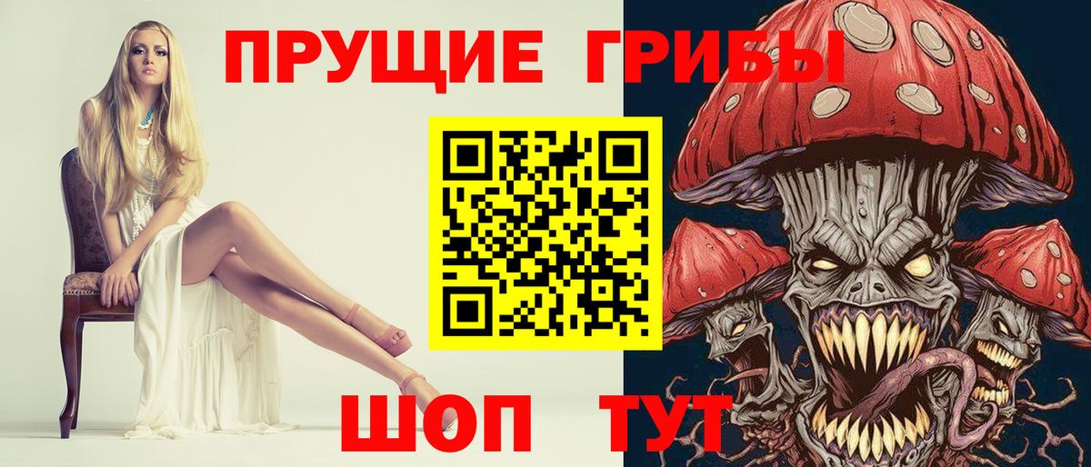 Псилоцибиновые грибы Magic Shrooms  Вход с VPN  Новозыбков 