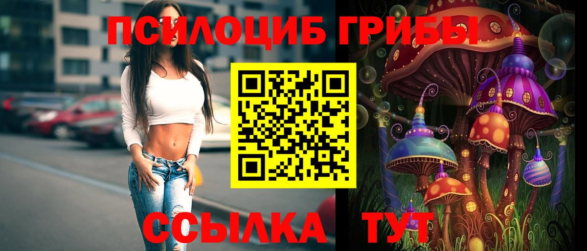 Галлюциногенные грибы Psilocybine cubensis Новозыбков
