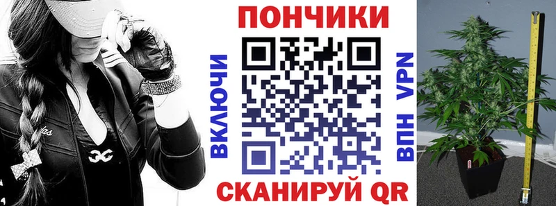 Бошки марихуана SATIVA & INDICA  Новозыбков 