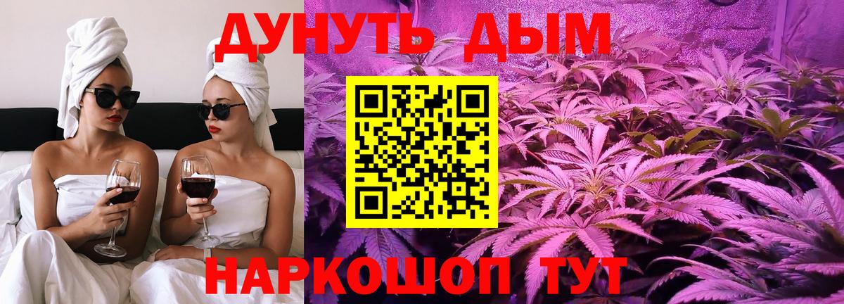 Каннабис семена Новозыбков